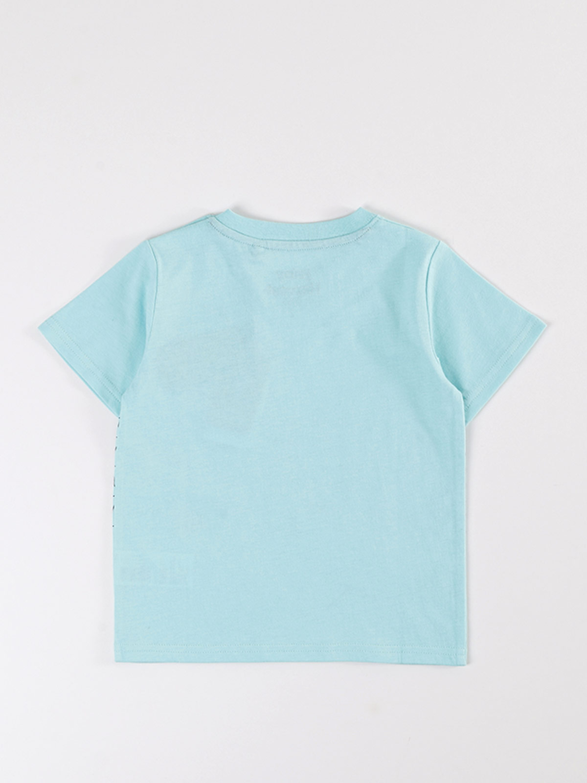 POLERA MANGA CORTA NIÑO BABY HARVEST ESTAMPADA - 2