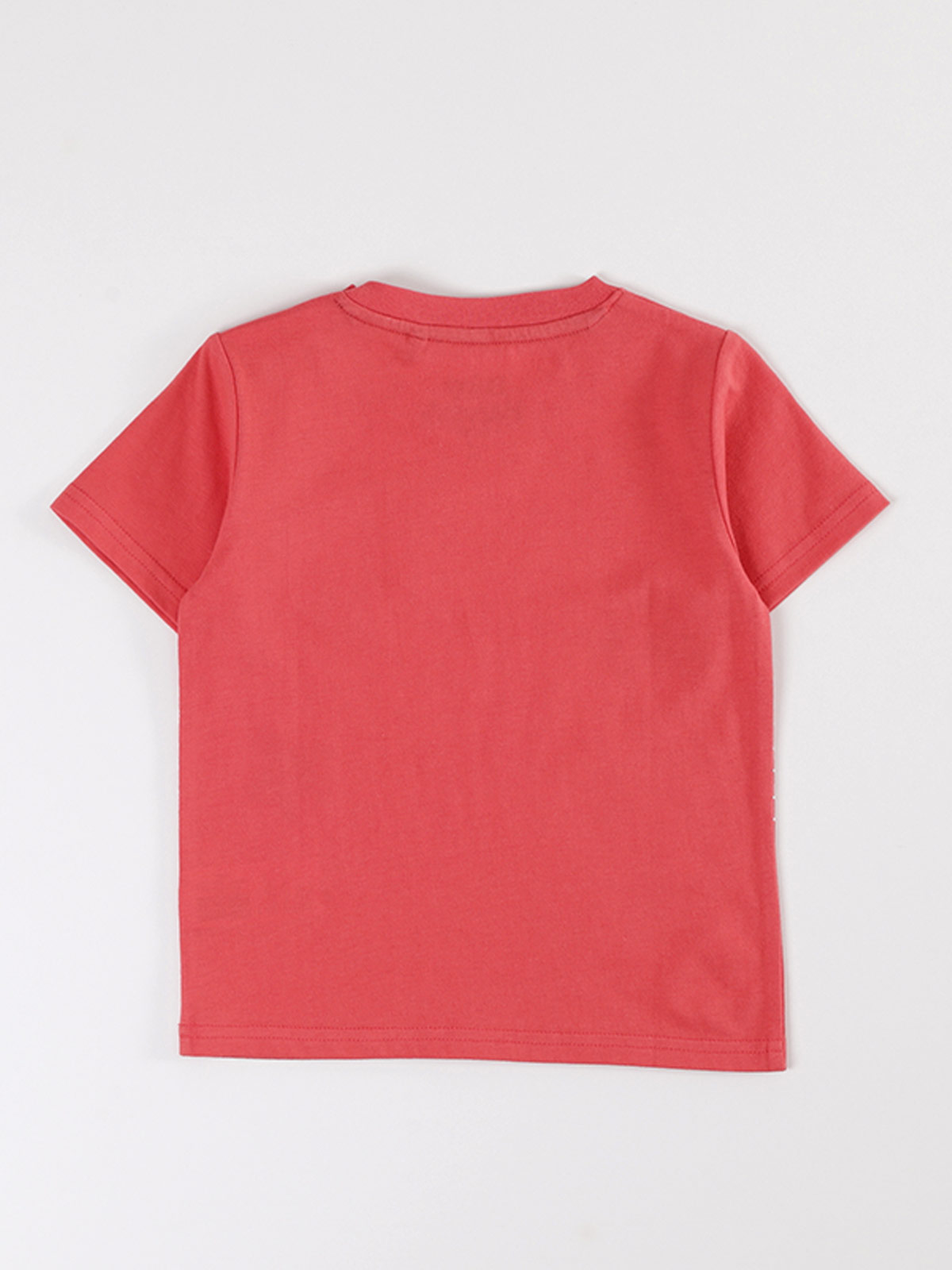 POLERA MANGA CORTA NIÑO BABY HARVEST ESTAMPADA - 2