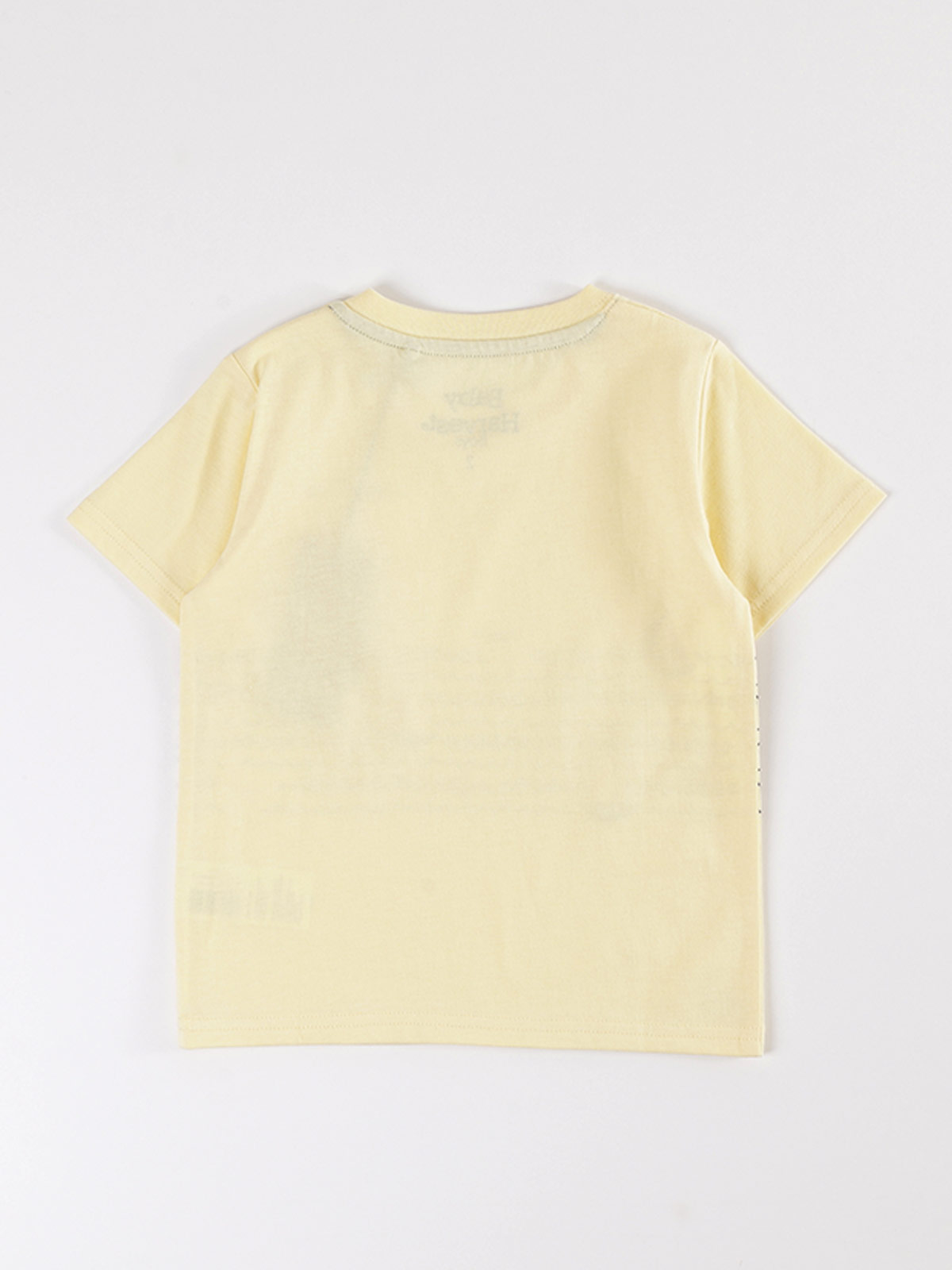 POLERA MANGA CORTA NIÑO BABY HARVEST ESTAMPADA - 2