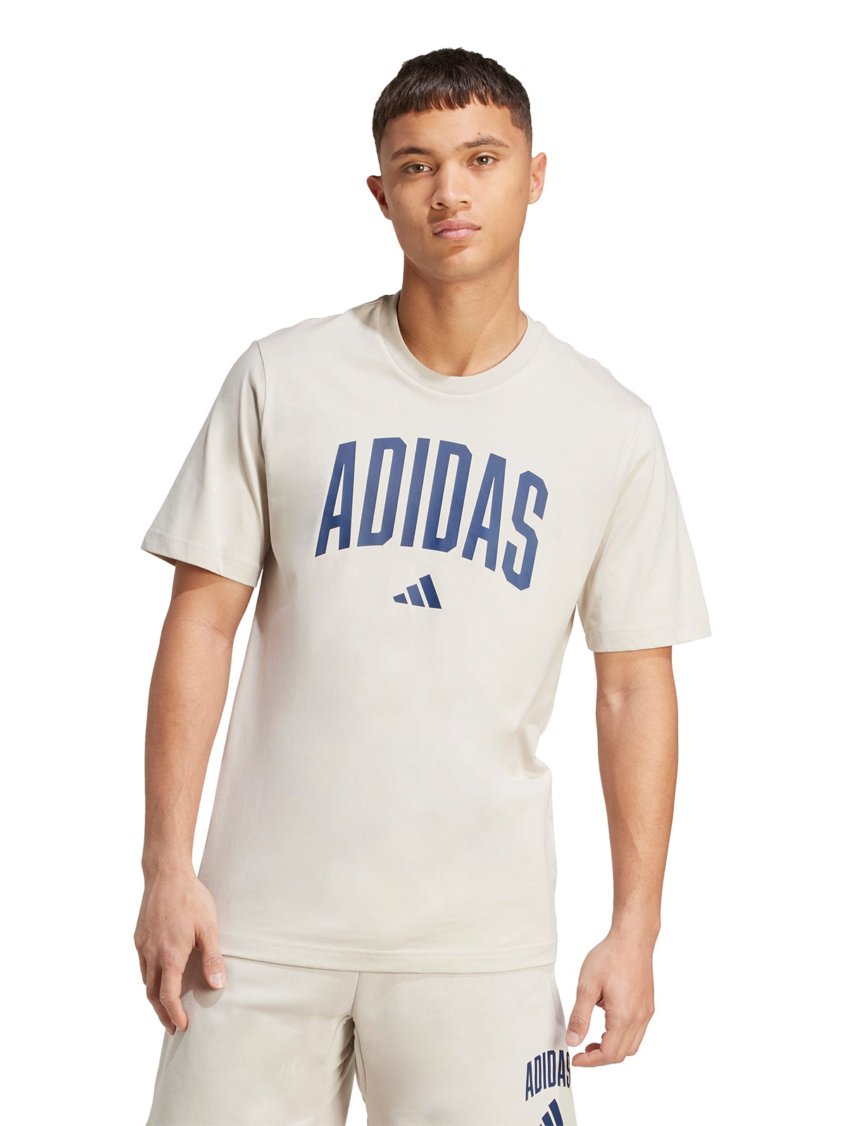 ADIDAS POLERA HOMBRE ADIDAS COLLEGIATE LINEAGE GRAPHIC JM6415 BEIGE