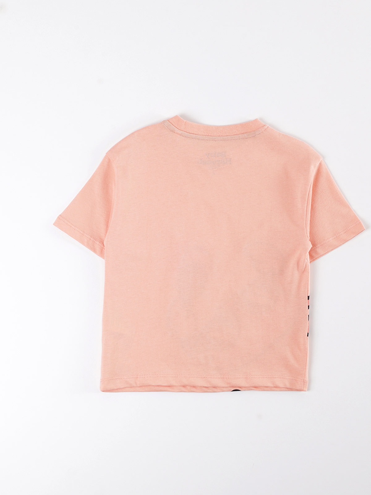 POLERA NIÑO BABY HARVEST ALGODÓN MANGA CORTA ESTAMPADA - 2