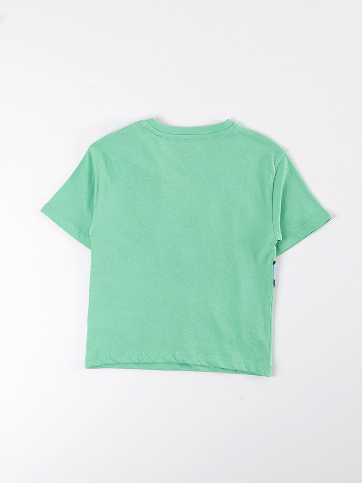 POLERA NIÑO BABY HARVEST ALGODÓN MANGA CORTA ESTAMPADA - 2