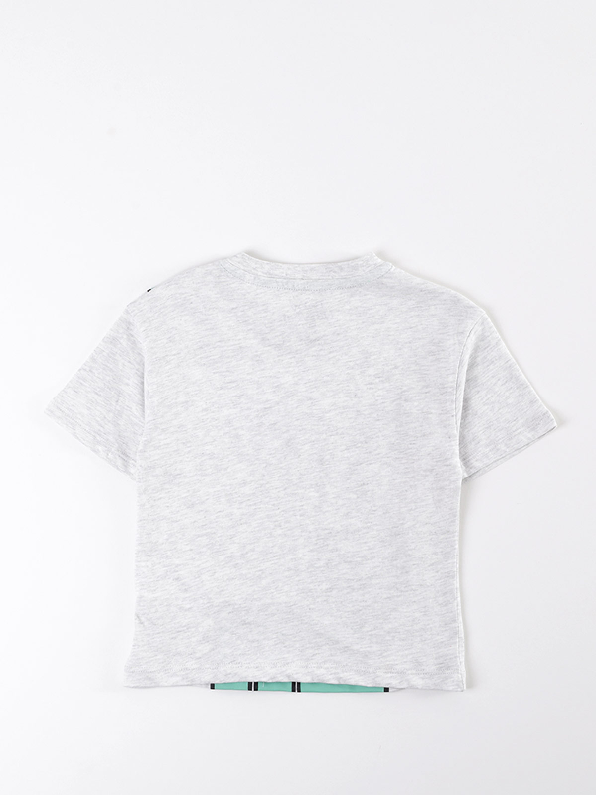 POLERA NIÑO BABY HARVEST ALGODÓN MANGA CORTA ESTAMPADA - 2