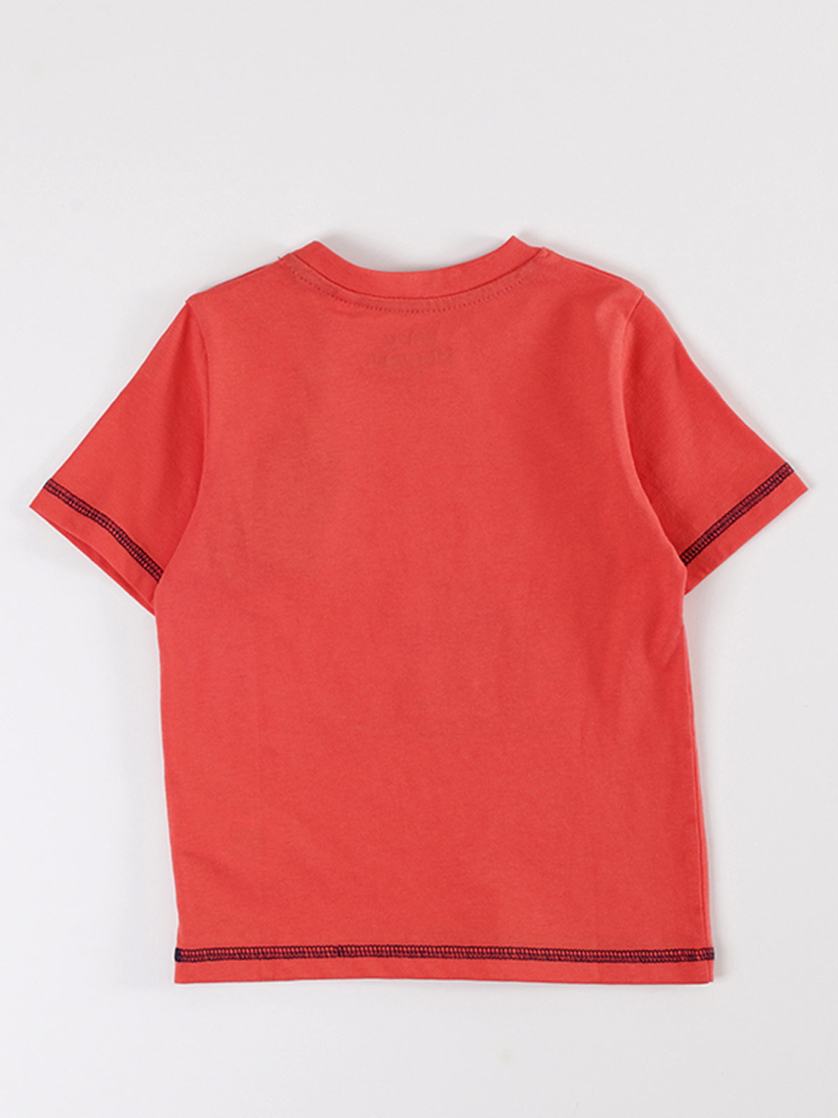 POLERA MANGA CORTA NIÑO BABY HARVEST PRINT DINOSAURIO - 2