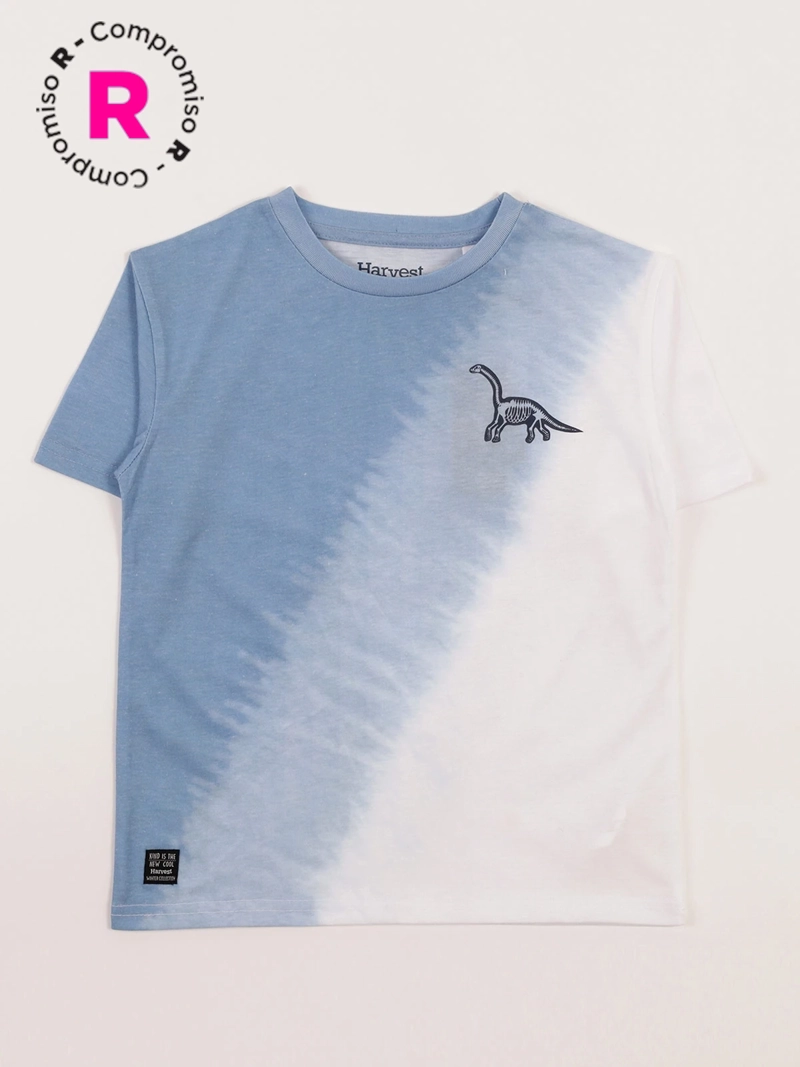 POLERA MANGA CORTA NIÑO HARVEST DEGRADE
