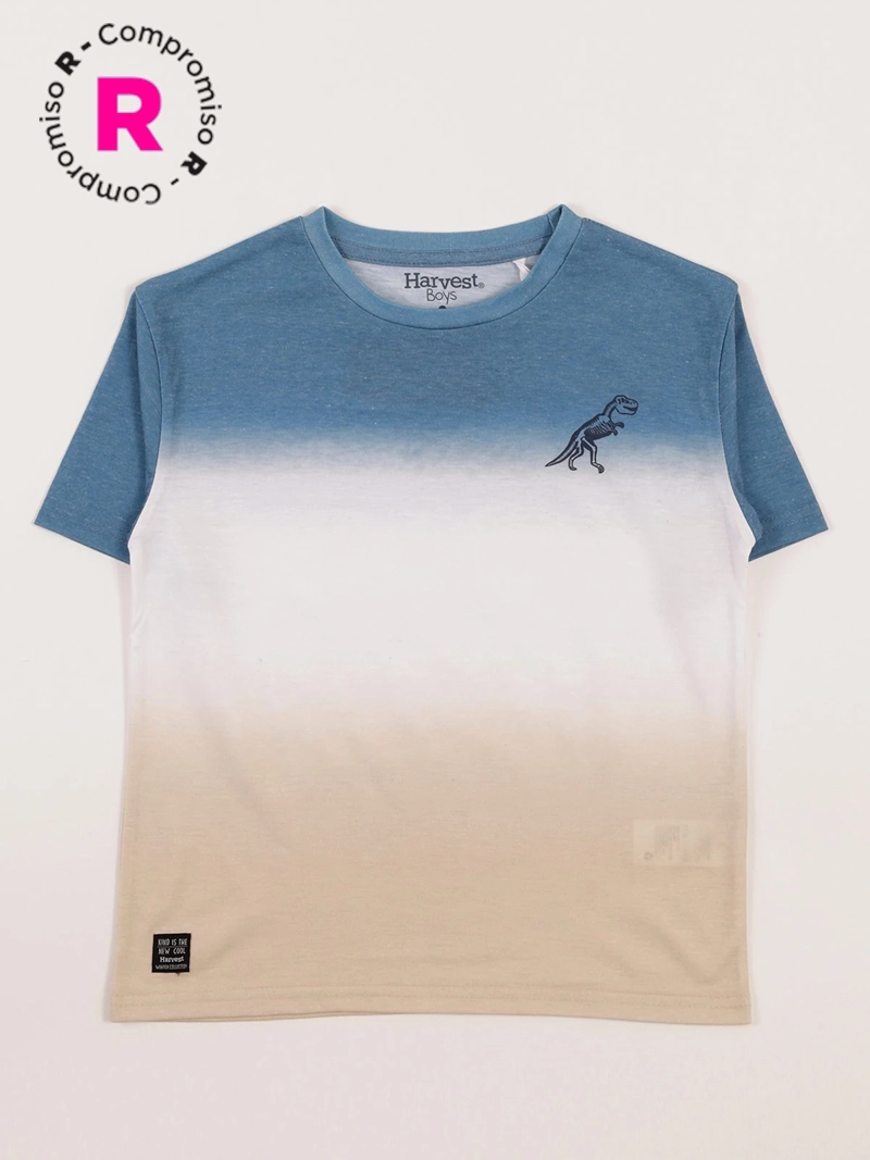 POLERA MANGA CORTA NIÑO HARVEST DEGRADE - 1