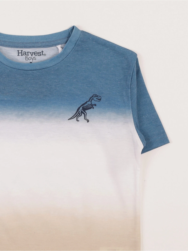 POLERA MANGA CORTA NIÑO HARVEST DEGRADE - 3