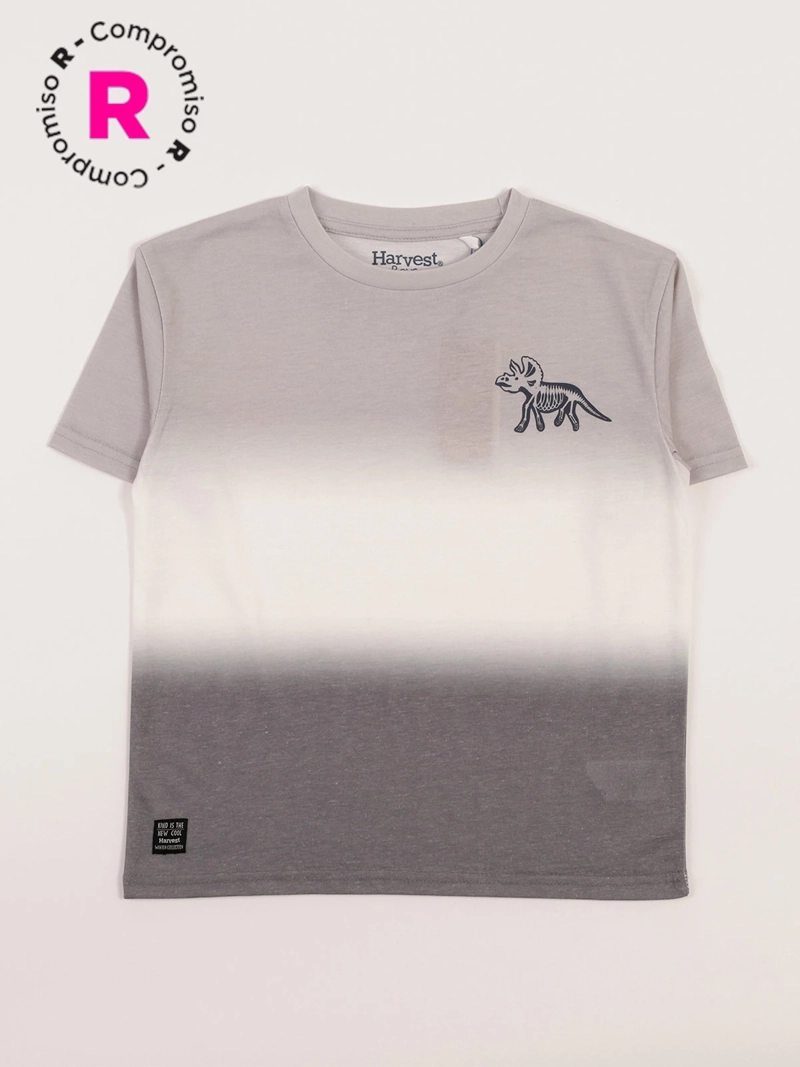 POLERA MANGA CORTA NIÑO HARVEST DEGRADE - 1