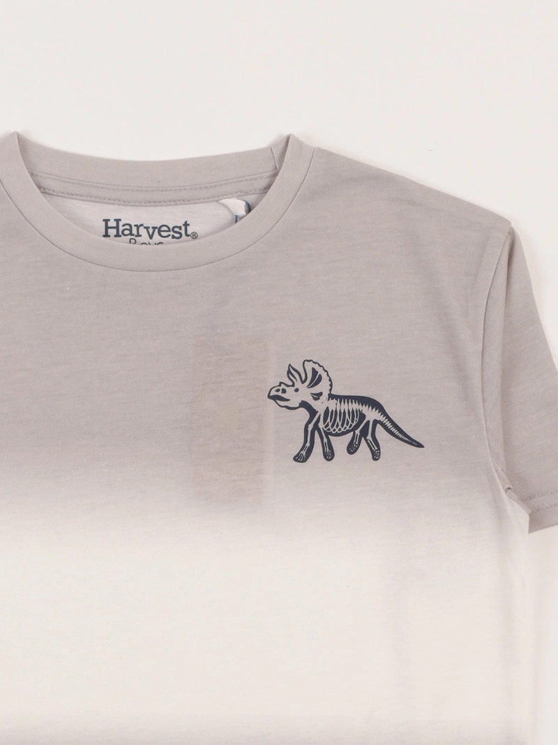 POLERA MANGA CORTA NIÑO HARVEST DEGRADE - 3