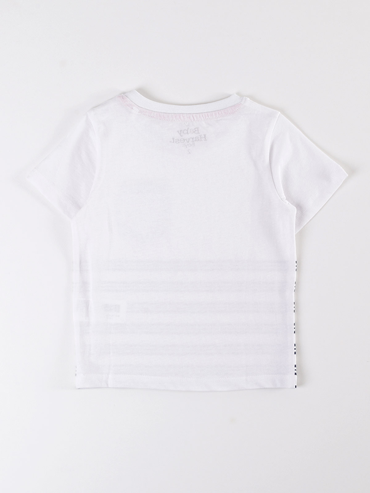 POLERA MANGA CORTA NIÑO BABY HARVEST - 2