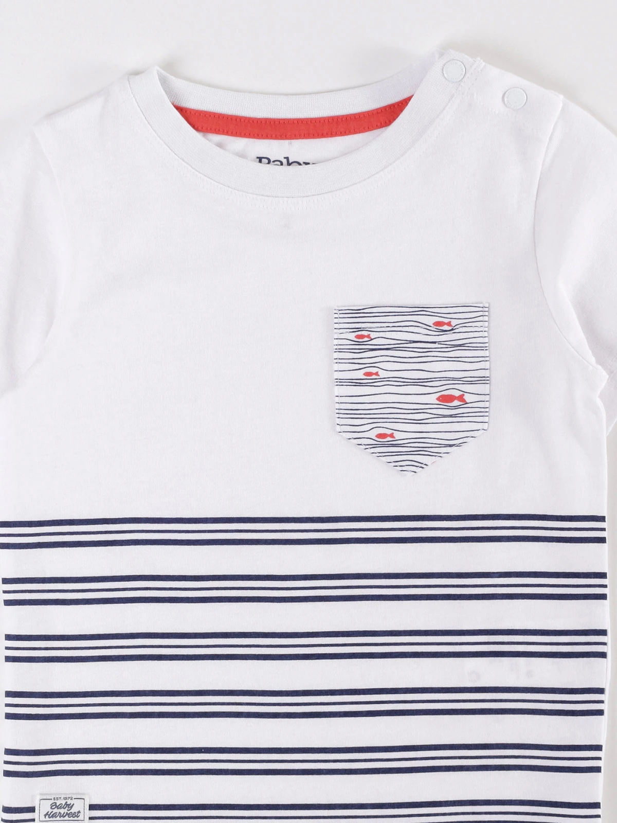 POLERA MANGA CORTA NIÑO BABY HARVEST - 3
