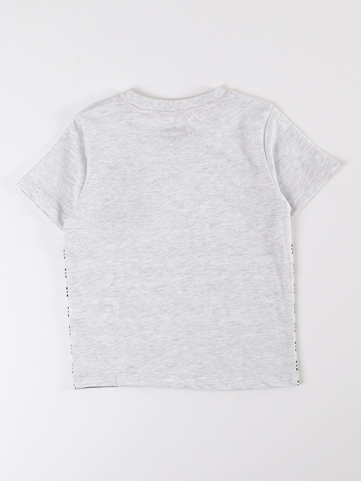 POLERA MANGA CORTA NIÑO BABY HARVEST - 2