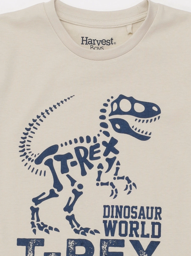 POLERA MANGA CORTA NIÑO HARVEST - 3