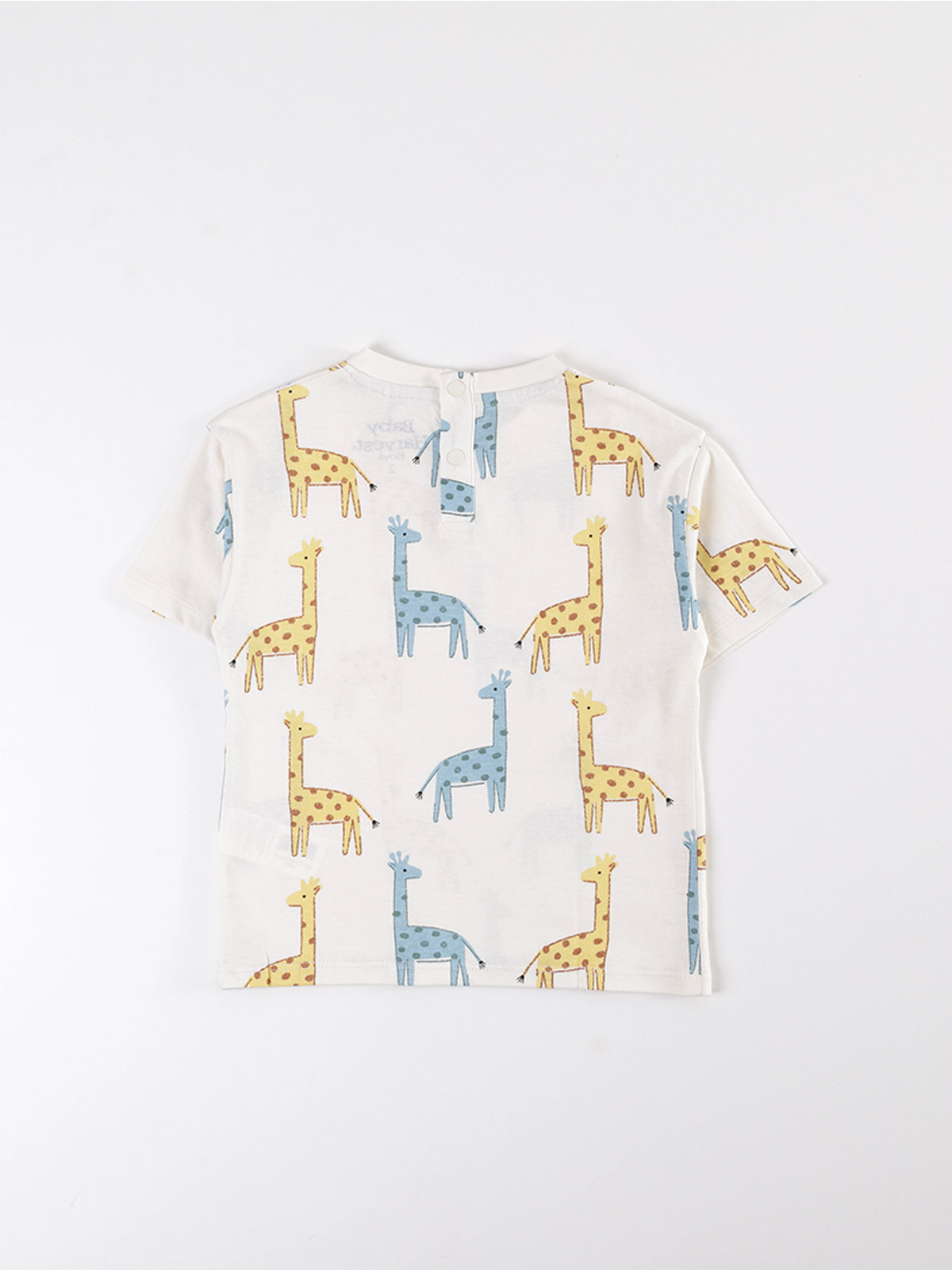 POLERA MANGA CORTA NIÑO BABY HARVEST ESTAMPADO - 2
