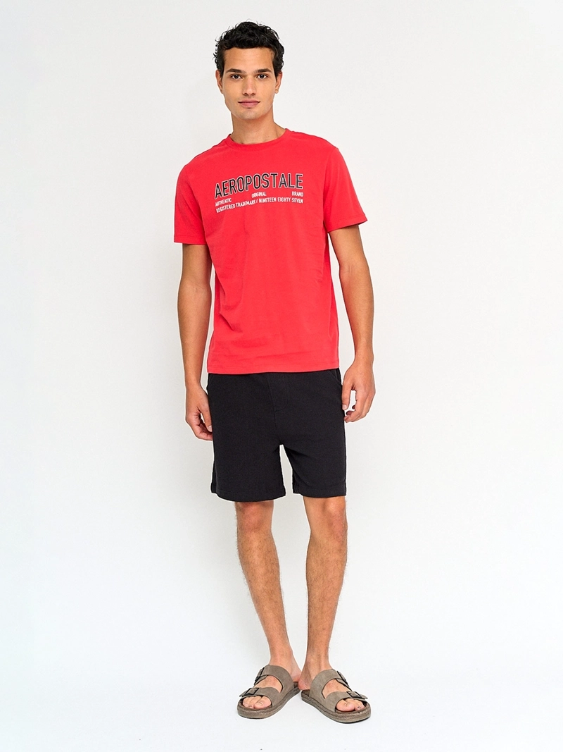 POLERA HOMBRE AEROPOSTALE ALGODÓN MANGA CORTA - 4