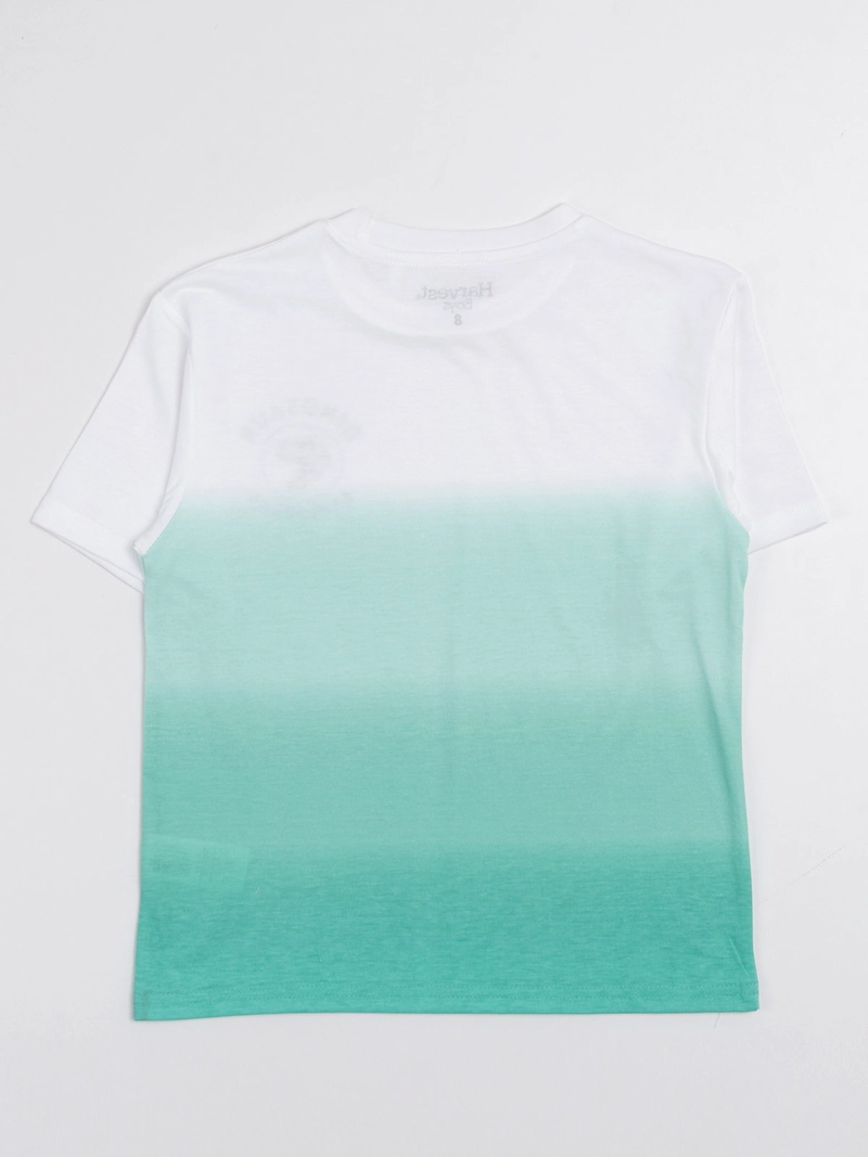 POLERA MANGA CORTA NIÑO HARVEST - 2
