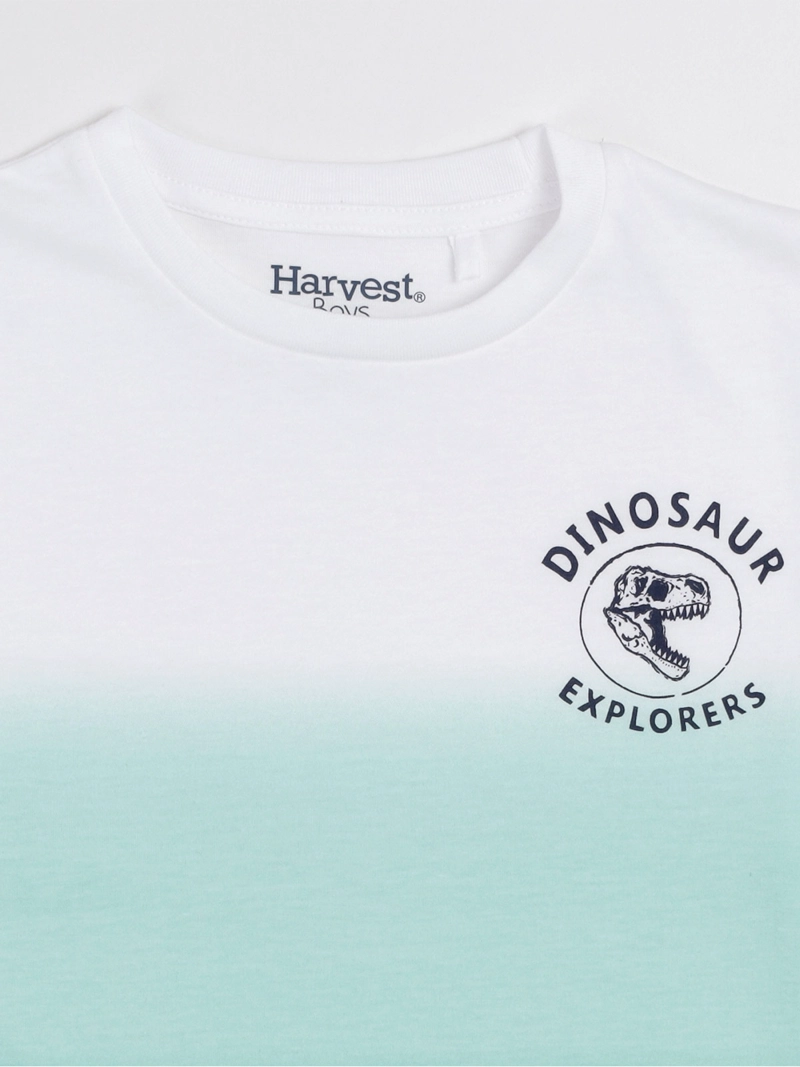 POLERA MANGA CORTA NIÑO HARVEST - 3