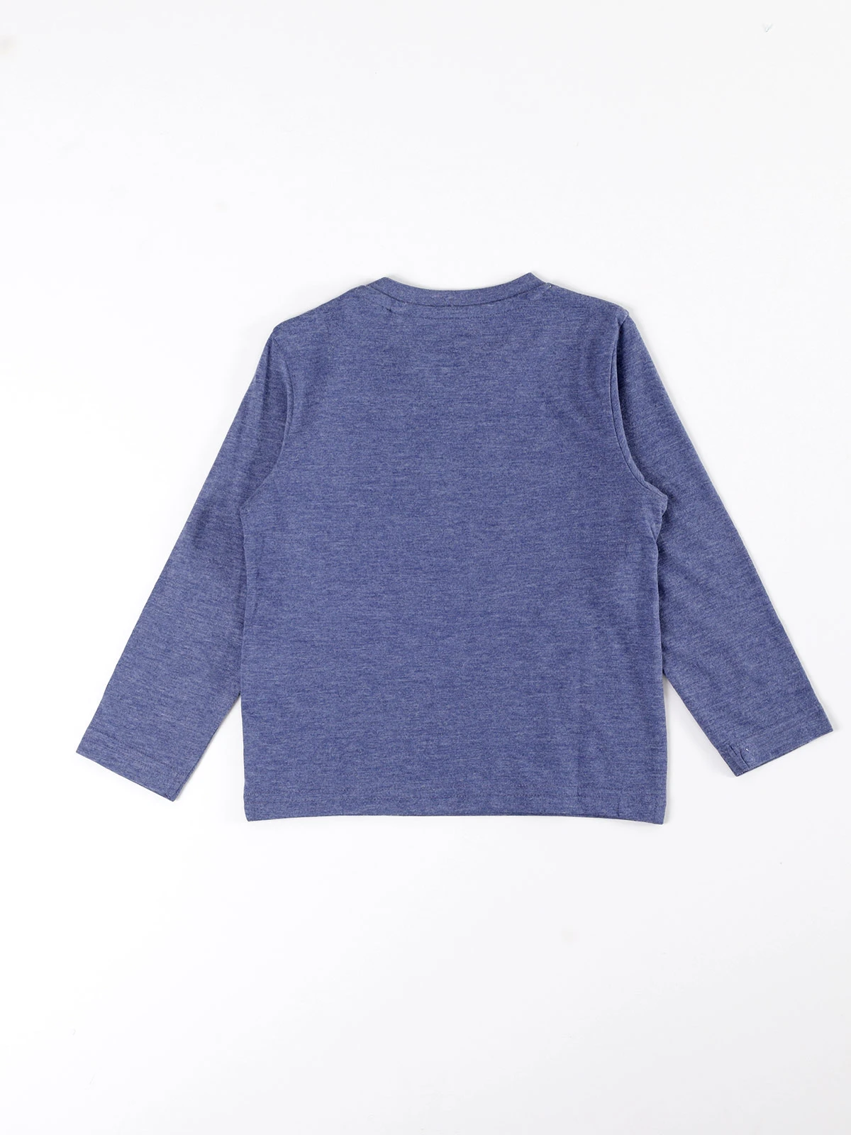 POLERA MANGA LARGA NIÑO BABY HARVEST ESTAMPADA - 2