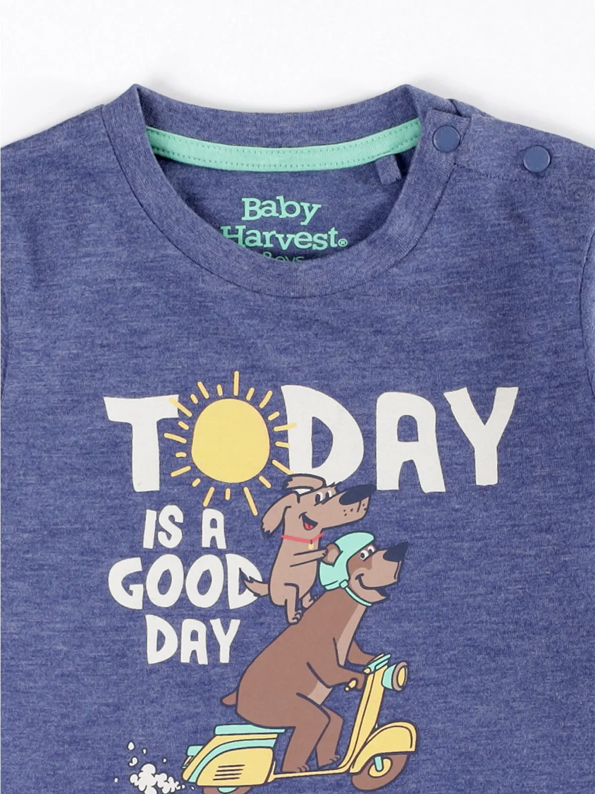 POLERA MANGA LARGA NIÑO BABY HARVEST ESTAMPADA - 3