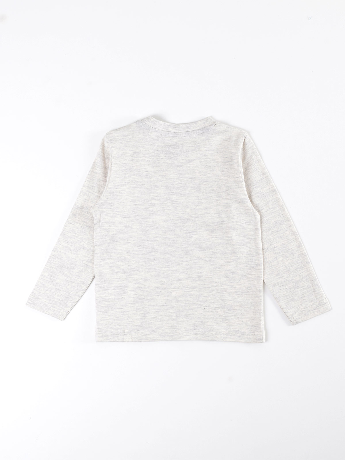POLERA MANGA LARGA NIÑO BABY HARVEST ESTAMPADA - 2