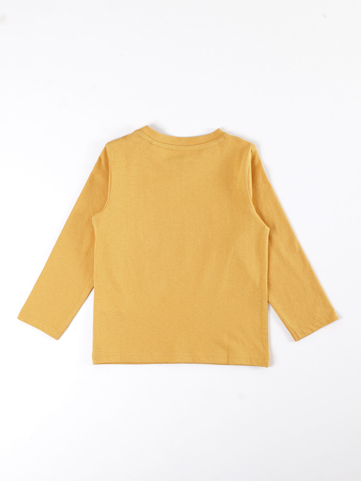 POLERA MANGA LARGA NIÑO BABY HARVEST ESTAMPADA - 2