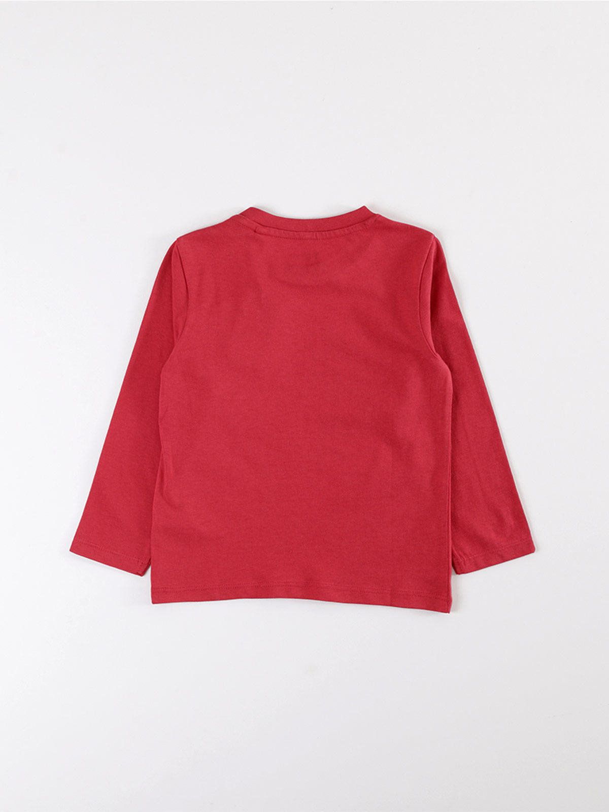 POLERA MANGA LARGA NIÑO BABY HARVEST ESTAMPADA - 2
