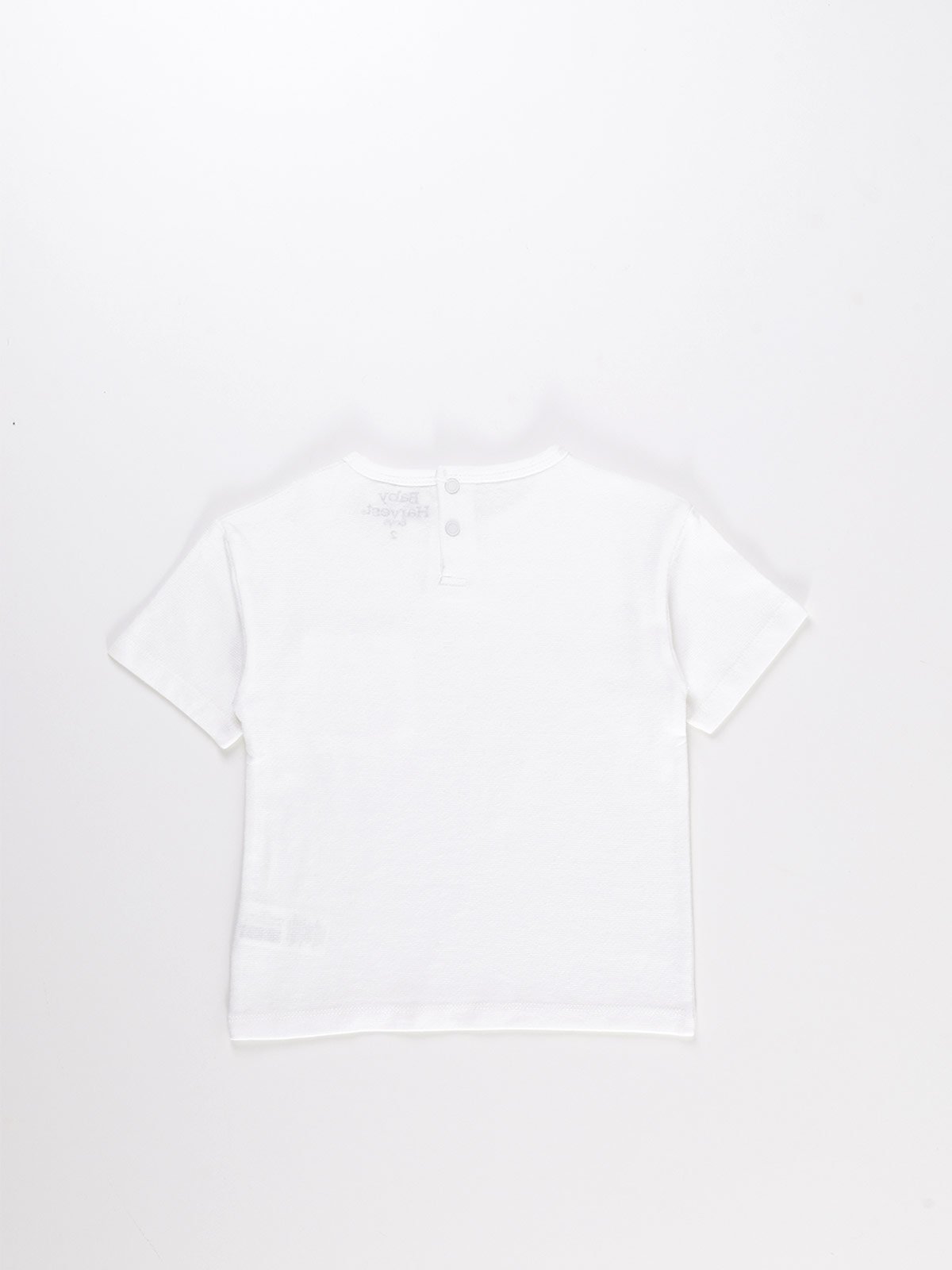 POLERA MANGA CORTA NIÑO BABY HARVEST - 2