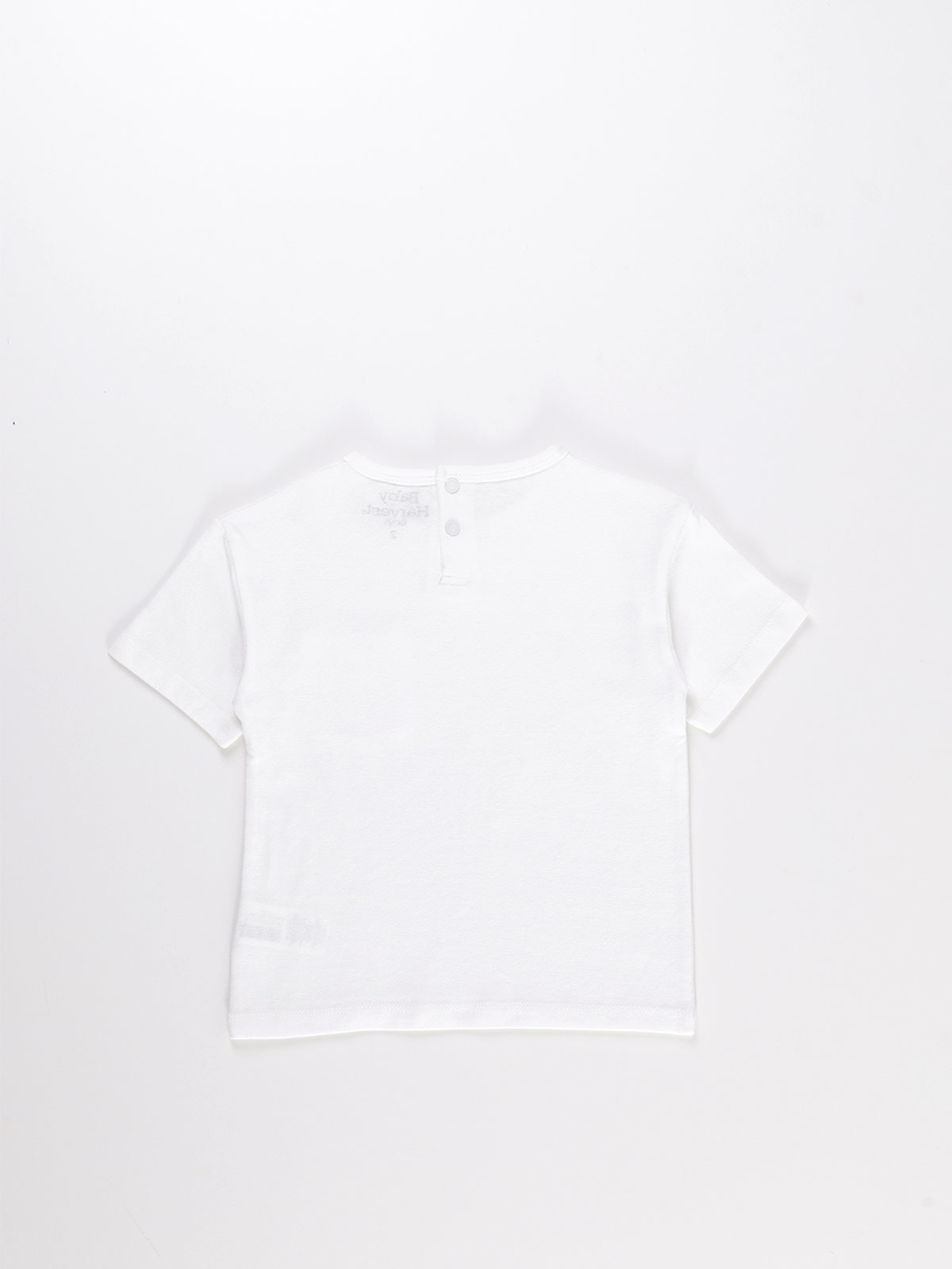 POLERA MANGA CORTA NIÑO BABY HARVEST - 2