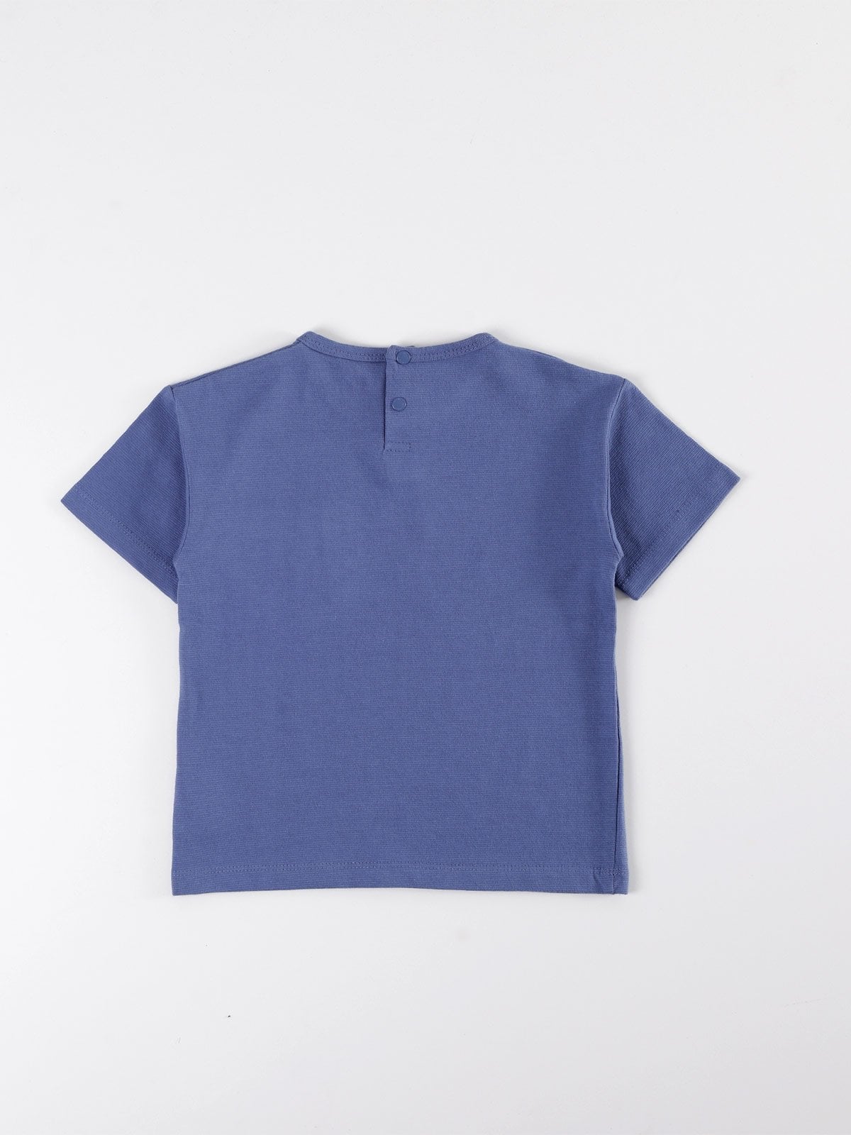 POLERA MANGA CORTA NIÑO BABY HARVEST - 2