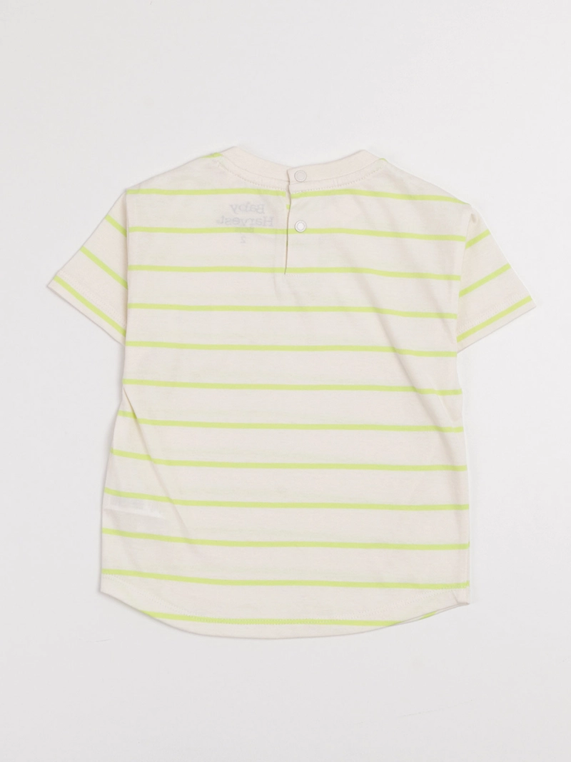 POLERA MANGA CORTA NIÑO BABY HARVEST - 2