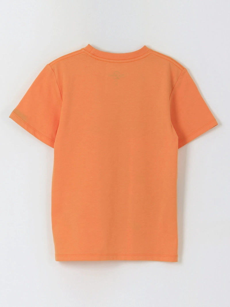 POLERA MANGA CORTA NIÑO ZOOTOPIA  - 2