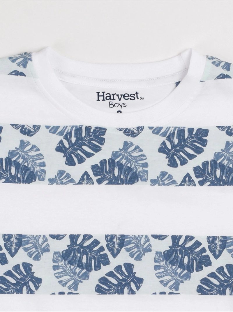POLERA MANGA CORTA NIÑO HARVEST - 3