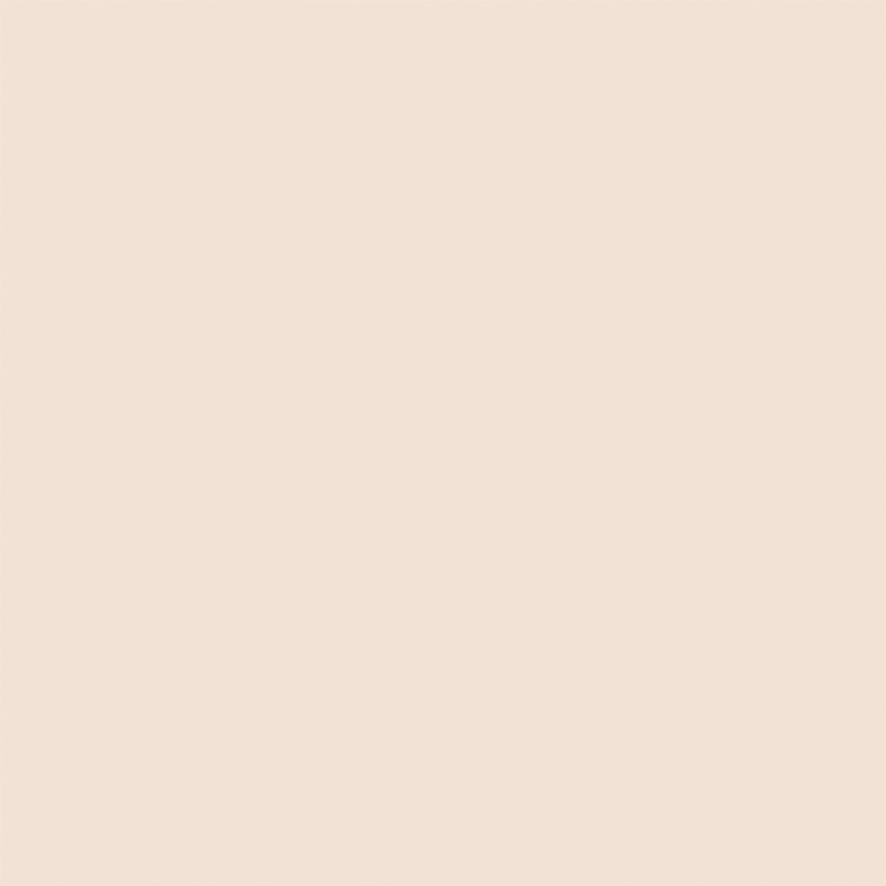 POLVOS FIJADORES DIOR FOREVER NUDE MATE - 11