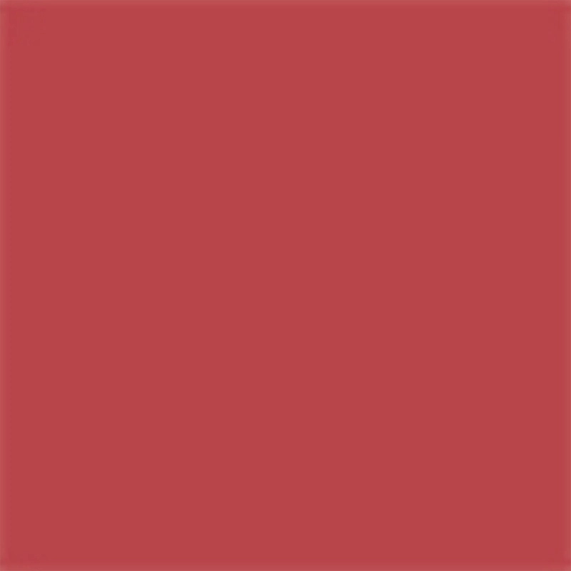 LABIAL DIOR ON STAGE ROSEWOOD GLAM 2GR - 10
