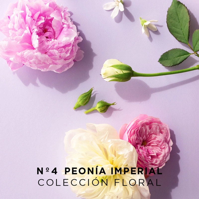PERFUME MUJER VICTORIO LUCCHINO AGUAS FLORALES N4 PEONIA IMPERIAL EDT 150 ML - 4