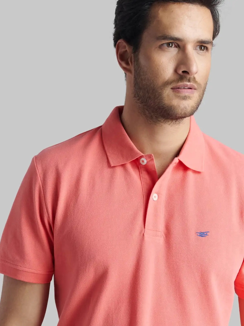 POLERA HOMBRE FEROUCH ALGODÓN MANGA CORTA - 3