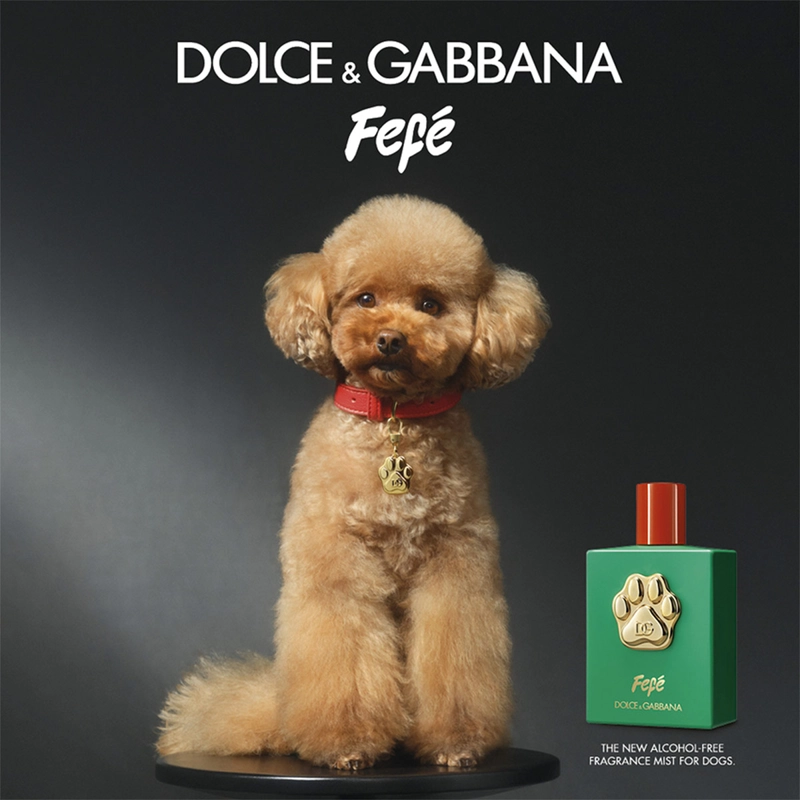 PERFUME PARA PERRO LIBRE DE ALCOHOL DOLCE&GABBANA FEFÉ 100 ML - 7