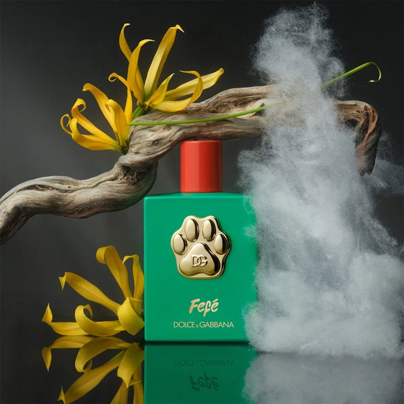 PERFUME PARA PERRO LIBRE DE ALCOHOL DOLCE&GABBANA FEFÉ 100 ML - 8