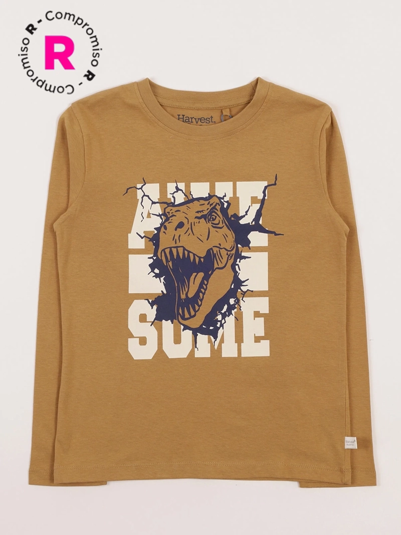 POLERA MANGA LARGA NIÑO HARVEST - 1