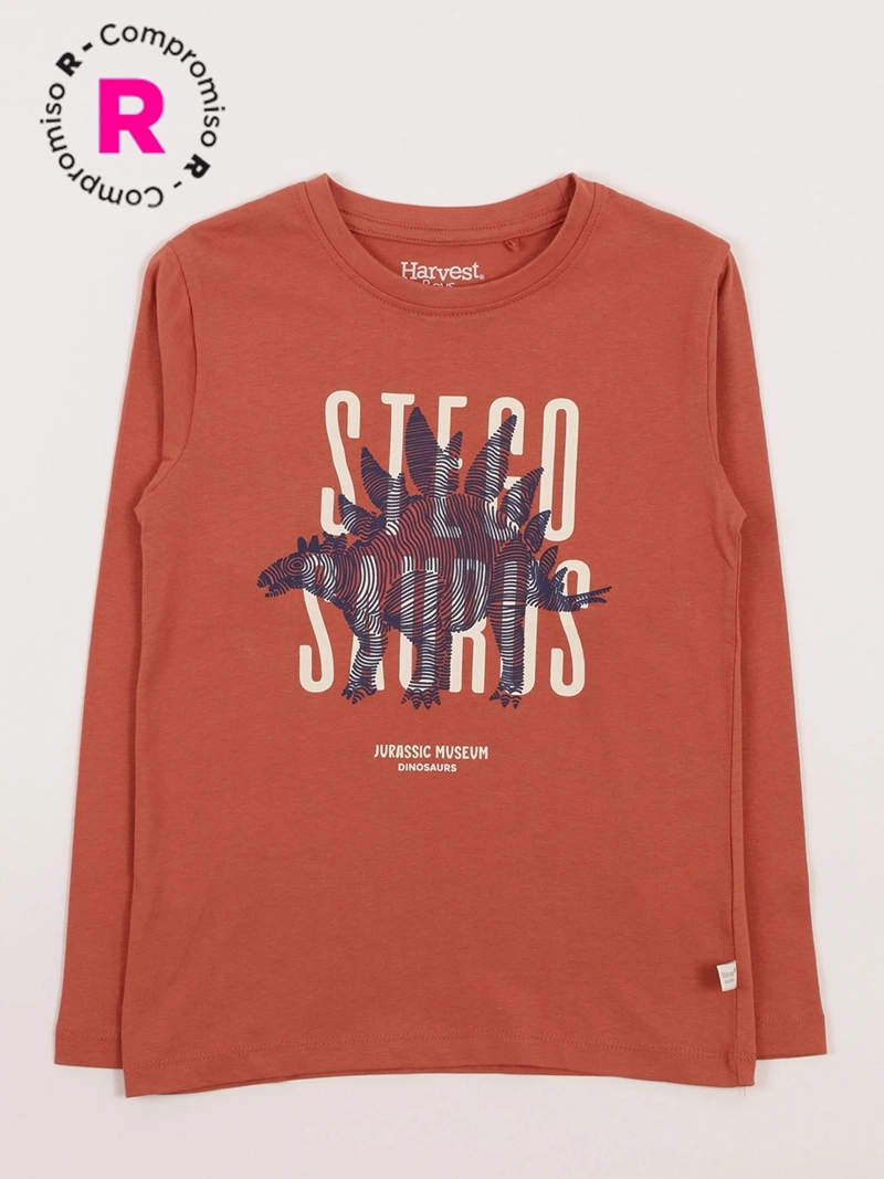 POLERA MANGA LARGA NIÑO HARVEST - 1