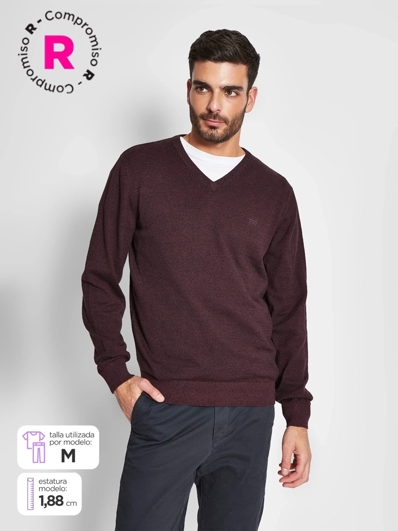 SWEATER HOMBRE REGATTA ALGODÓN CUELLO EN V - 1