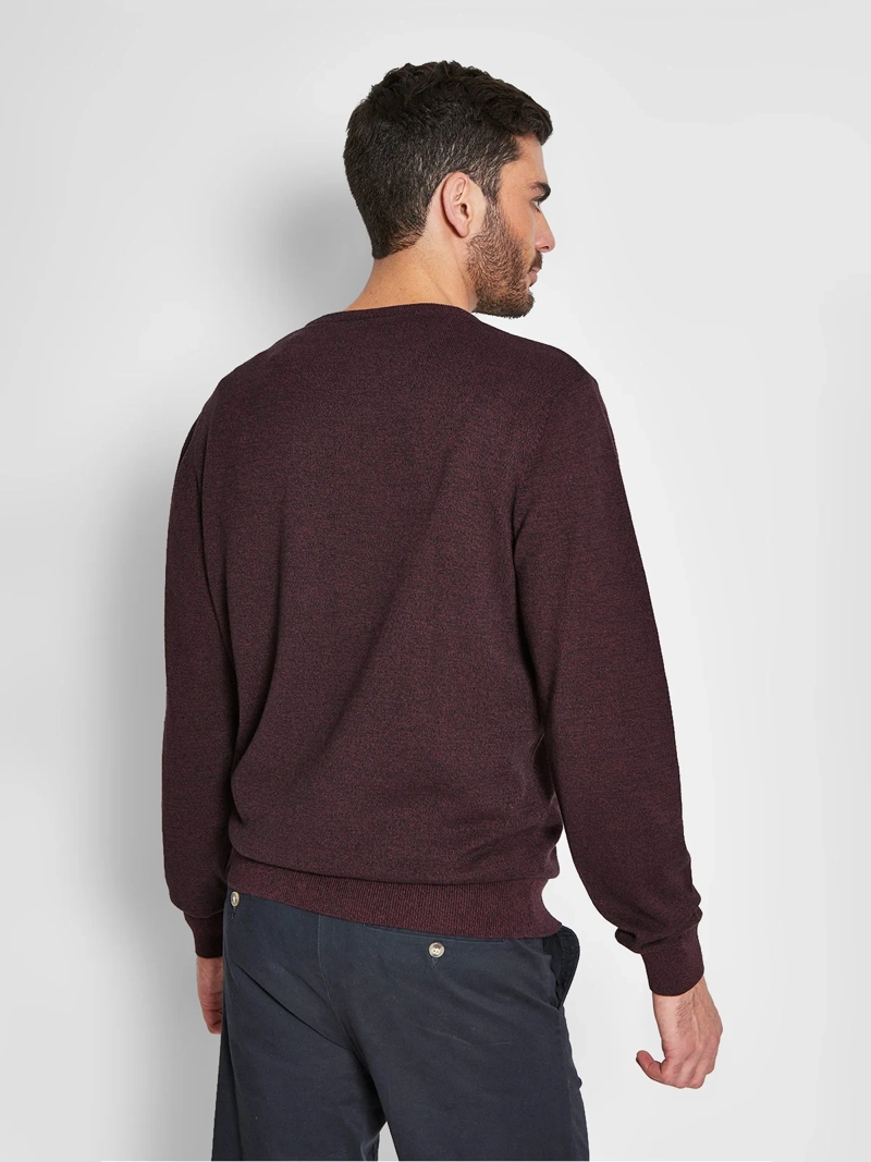 SWEATER HOMBRE REGATTA ALGODÓN CUELLO EN V - 2
