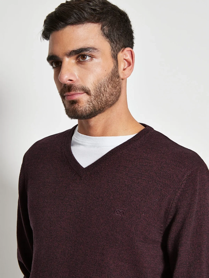 SWEATER HOMBRE REGATTA ALGODÓN CUELLO EN V - 3