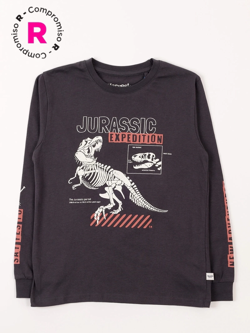 POLERA MANGA LARGA ALGODÓN NIÑO HARVEST DINOSAURIO