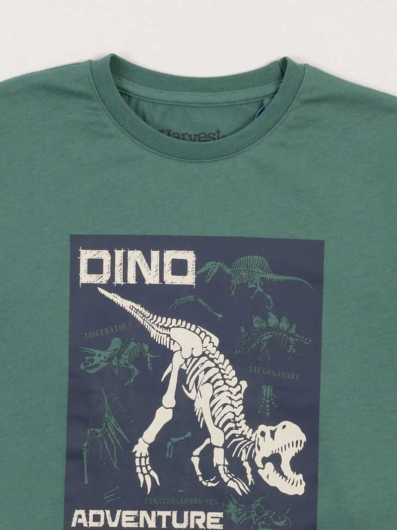POLERA MANGA LARGA ALGODÓN NIÑO HARVEST DINOSAURIO - 3