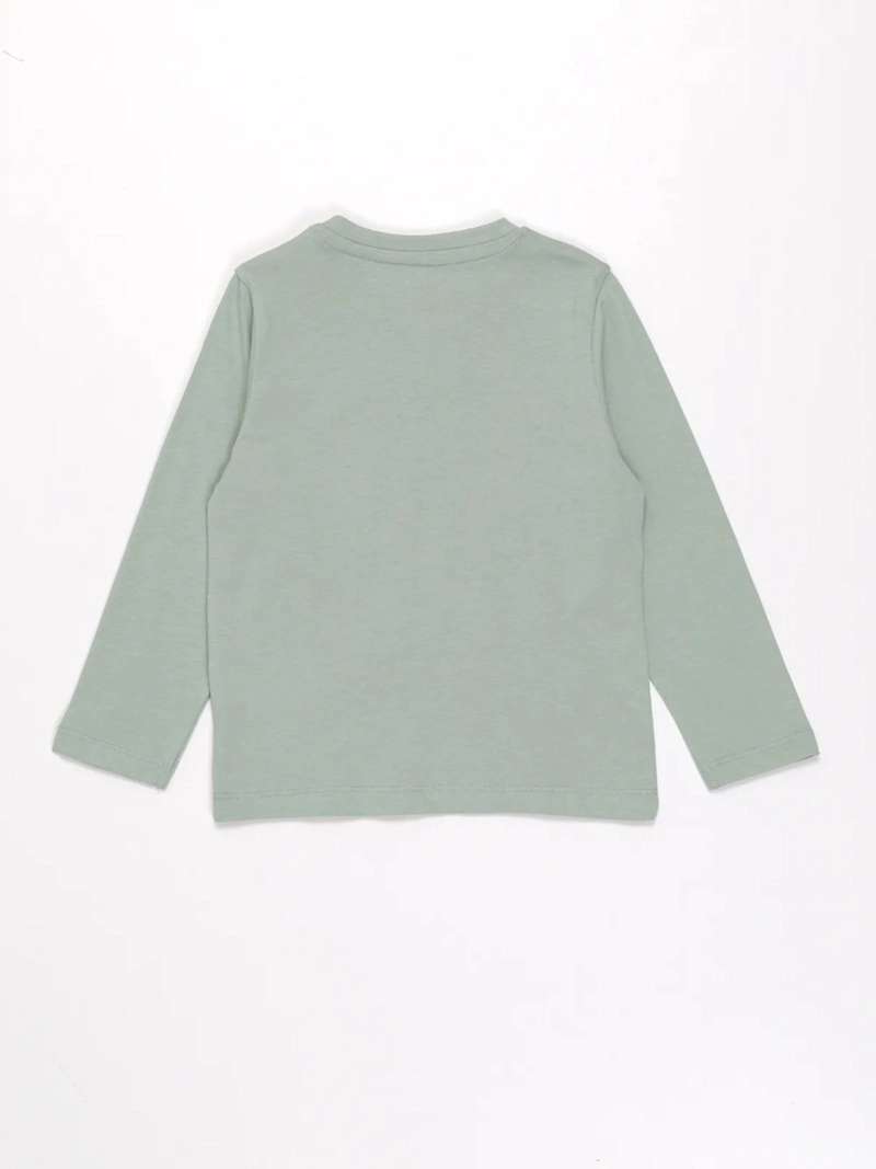 POLERA MANGA LARGA ALGODÓN NIÑO BABY HARVEST ESTAMPADA - 2