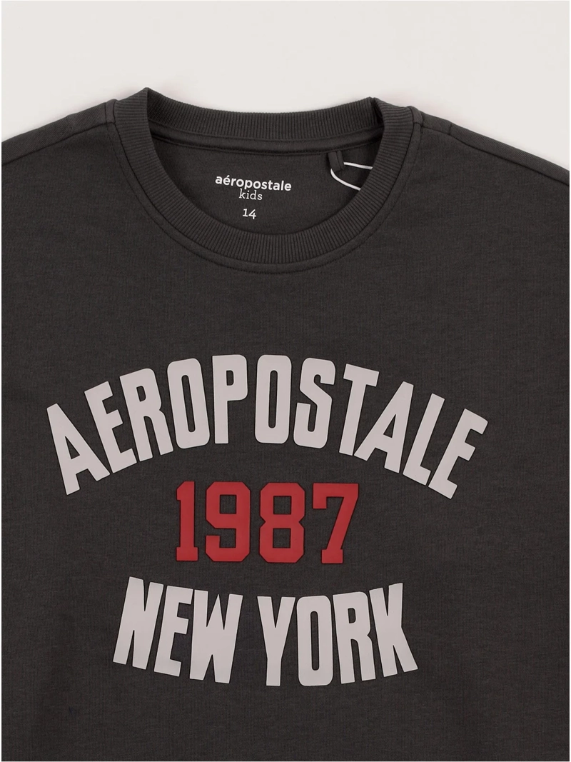POLERÓN NIÑO AEROPOSTALE NEW YORK 1987 - 3