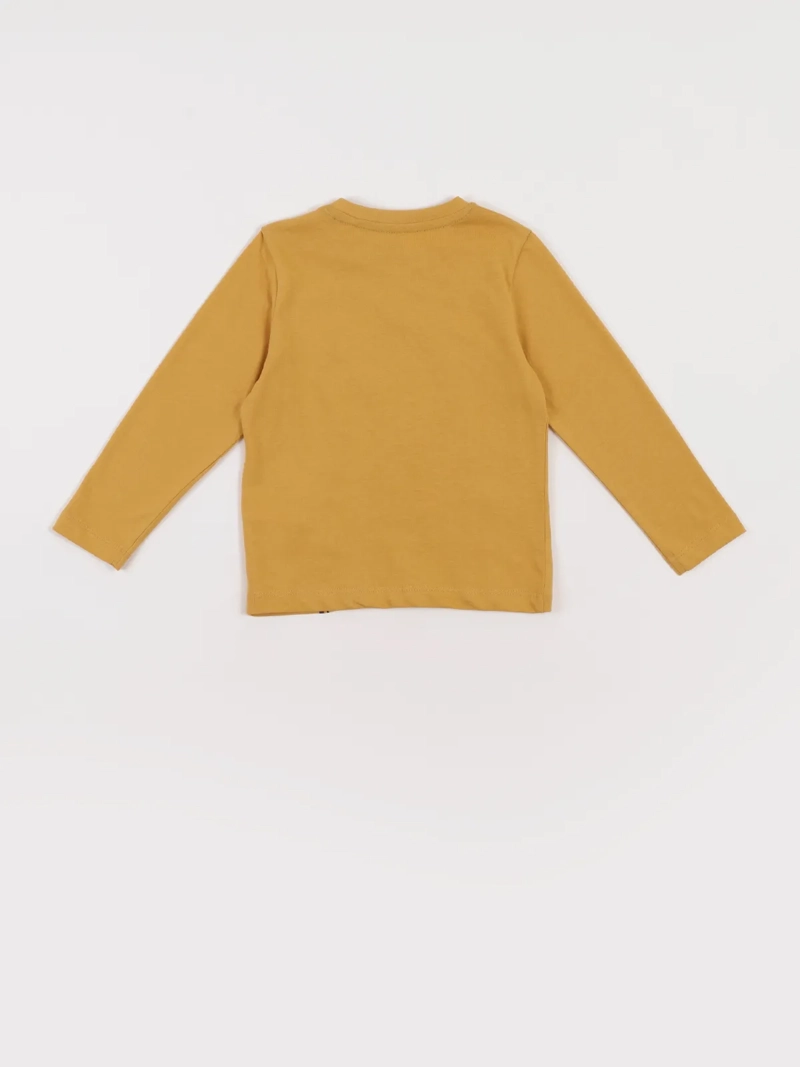 POLERA MANGA LARGA ALGODÓN NIÑO BABY HARVEST ESTAMPADA - 2