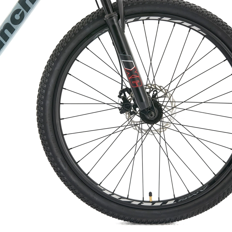 BICICLETA MOUNTAIN BIKE BIANCHI ADVANTAGE GRIS ARO 27.5 SX - 5
