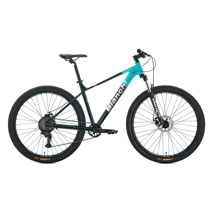 BICICLETA MOUNTAIN BIKE BIANCHI AGGRESSOR TALLA L ARO 29 - 1